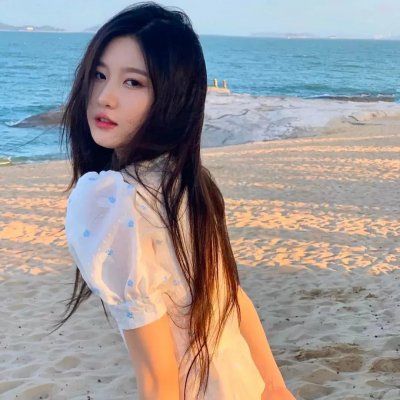特洛伊艾迪